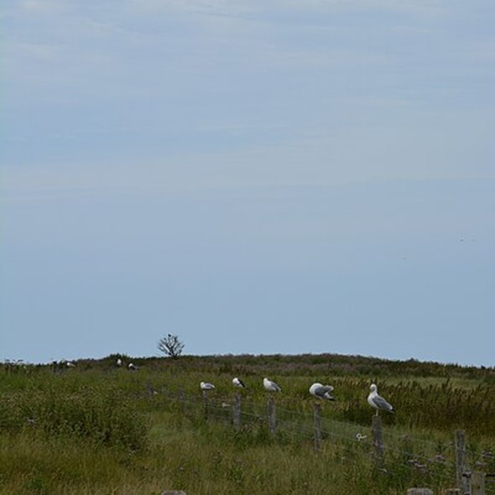 Photo de Musée Maritime de lIle Tatihou à Saint-Vaast-la-Hougue