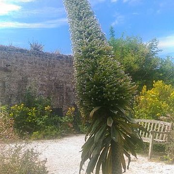 Musée Maritime de lIle Tatihou à Saint-Vaast-la-Hougue