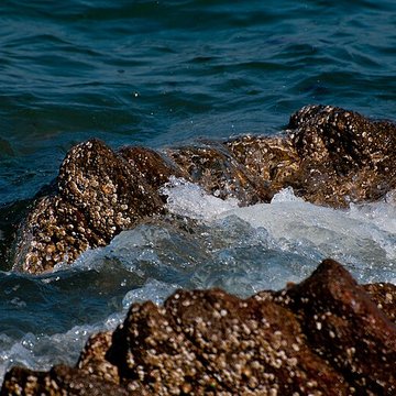 Musée Maritime de lIle Tatihou à Saint-Vaast-la-Hougue