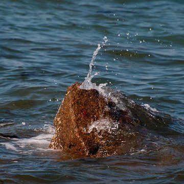 Musée Maritime de lIle Tatihou à Saint-Vaast-la-Hougue