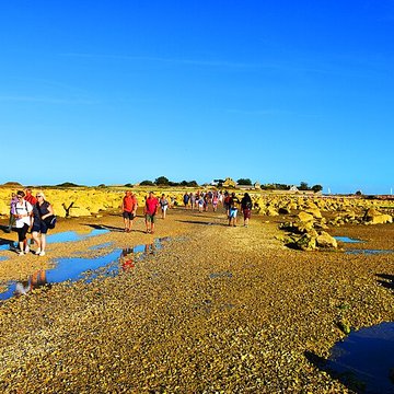 Musée Maritime de lIle Tatihou à Saint-Vaast-la-Hougue