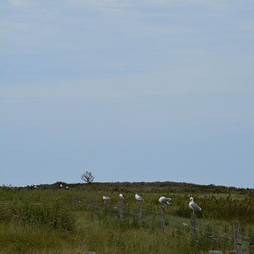 Musée Maritime de lIle Tatihou à Saint-Vaast-la-Hougue