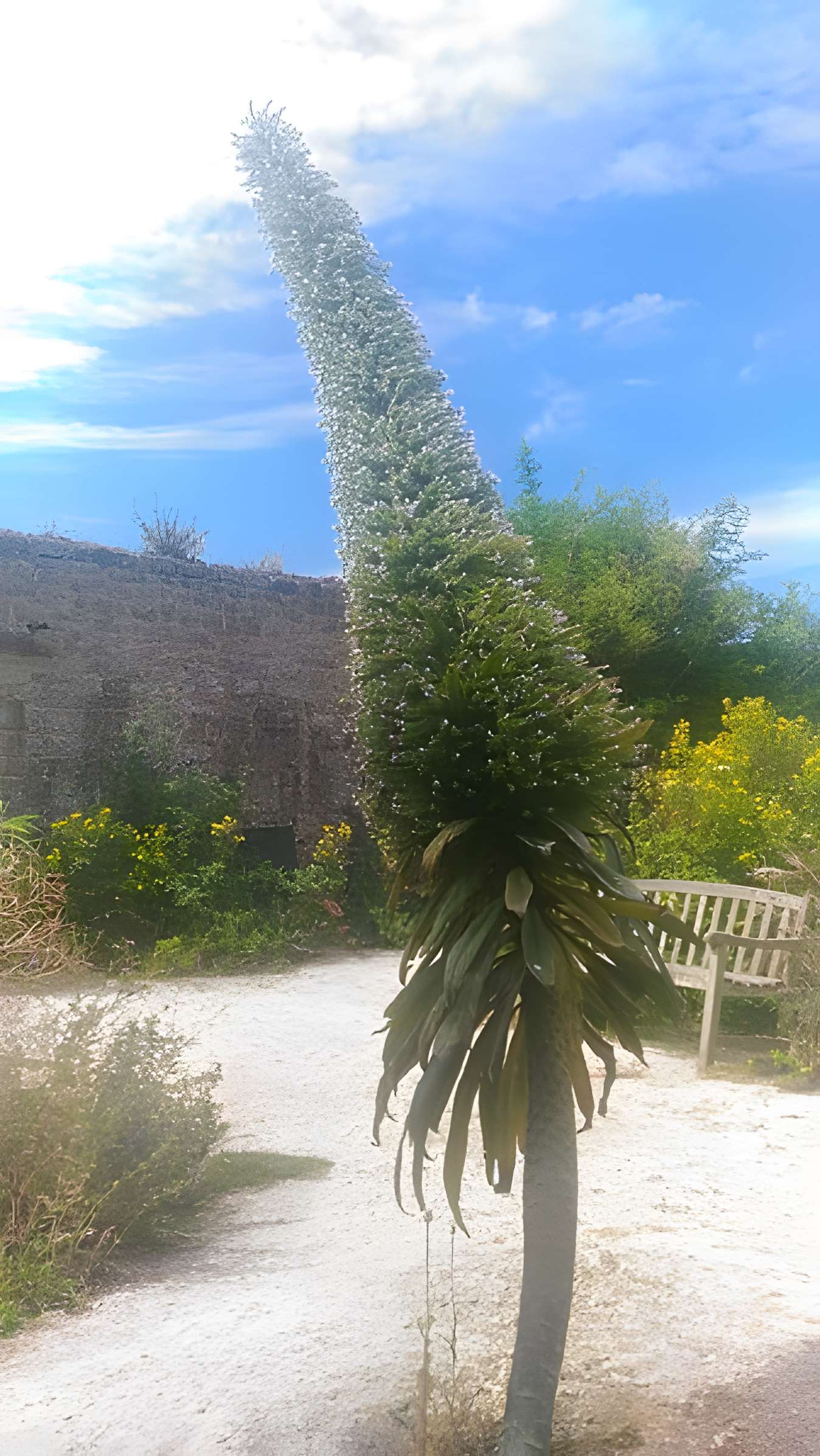 Musée Maritime de l'Ile Tatihou à Saint-Vaast-la-Hougue