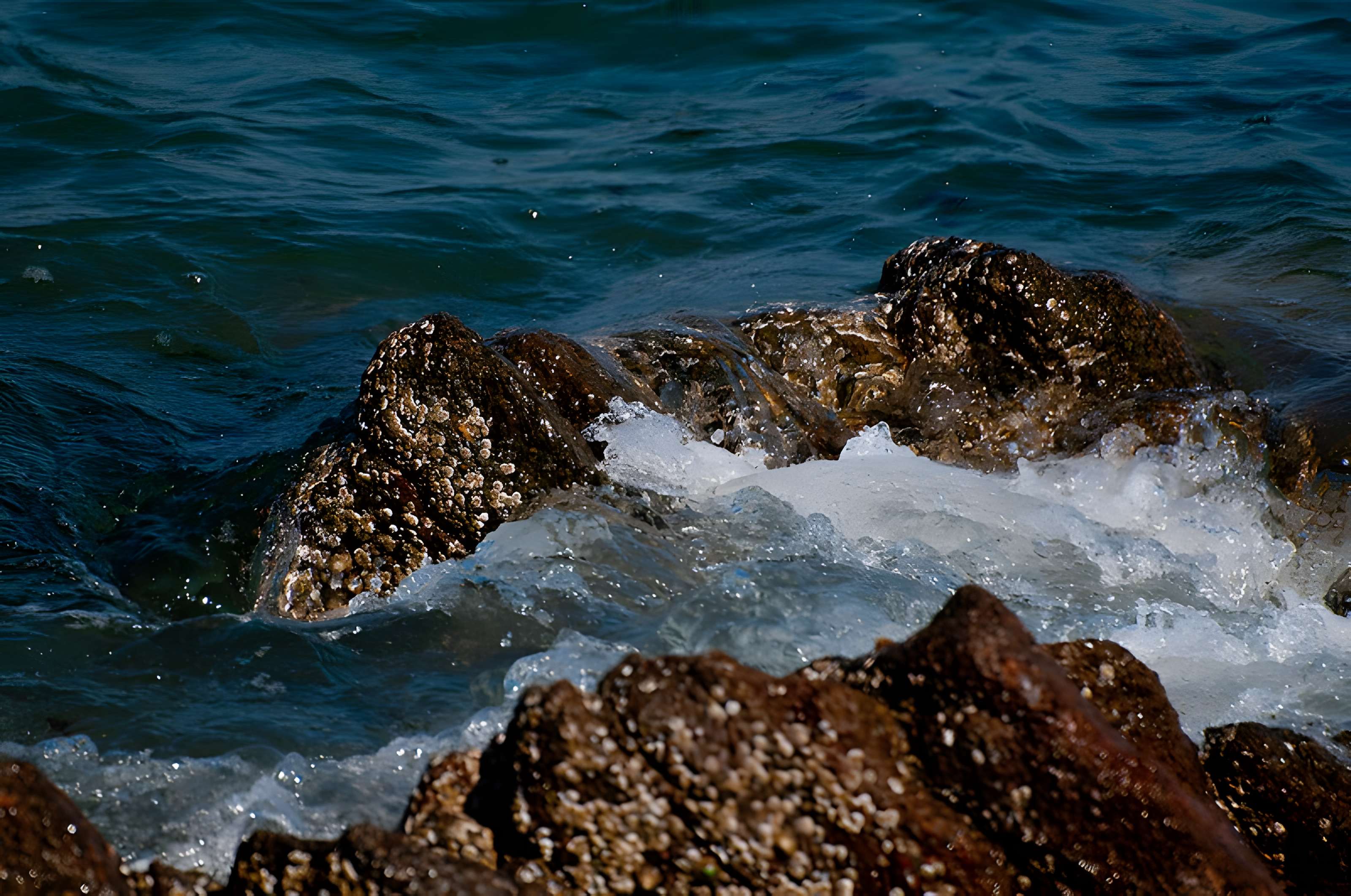 Musée Maritime de l'Ile Tatihou à Saint-Vaast-la-Hougue