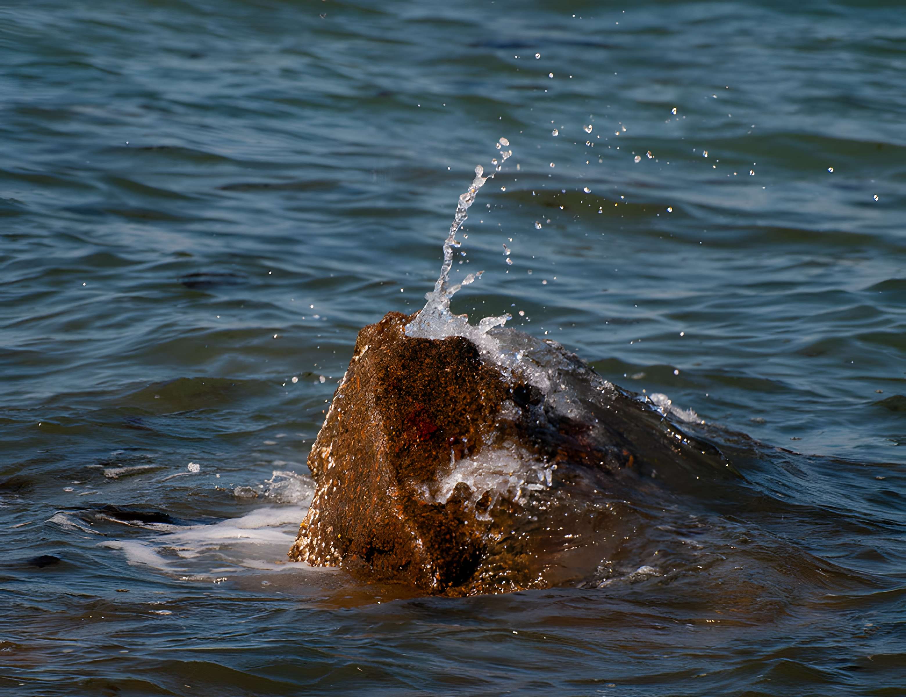 Musée Maritime de l'Ile Tatihou à Saint-Vaast-la-Hougue