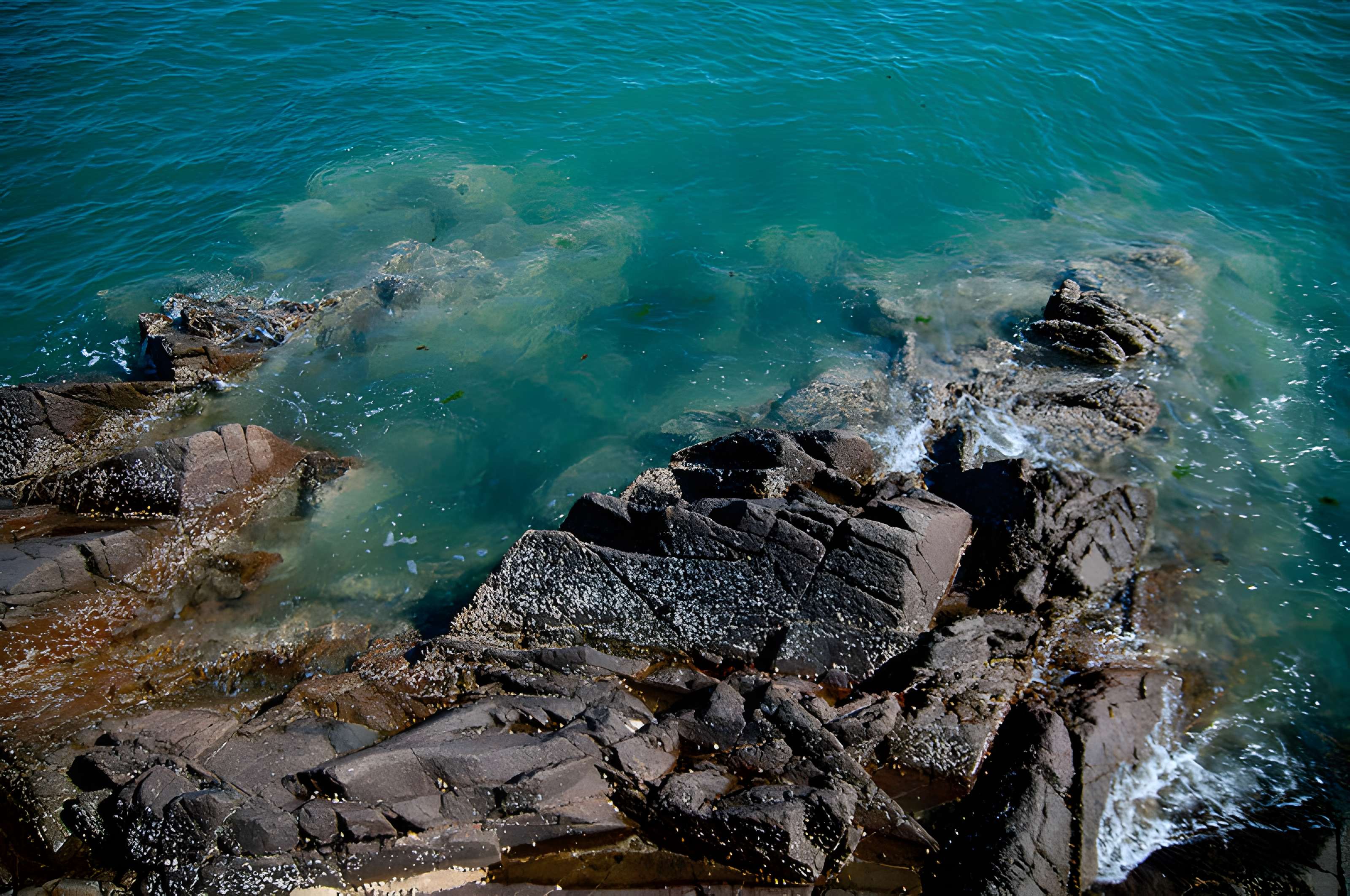 Musée Maritime de l'Ile Tatihou à Saint-Vaast-la-Hougue