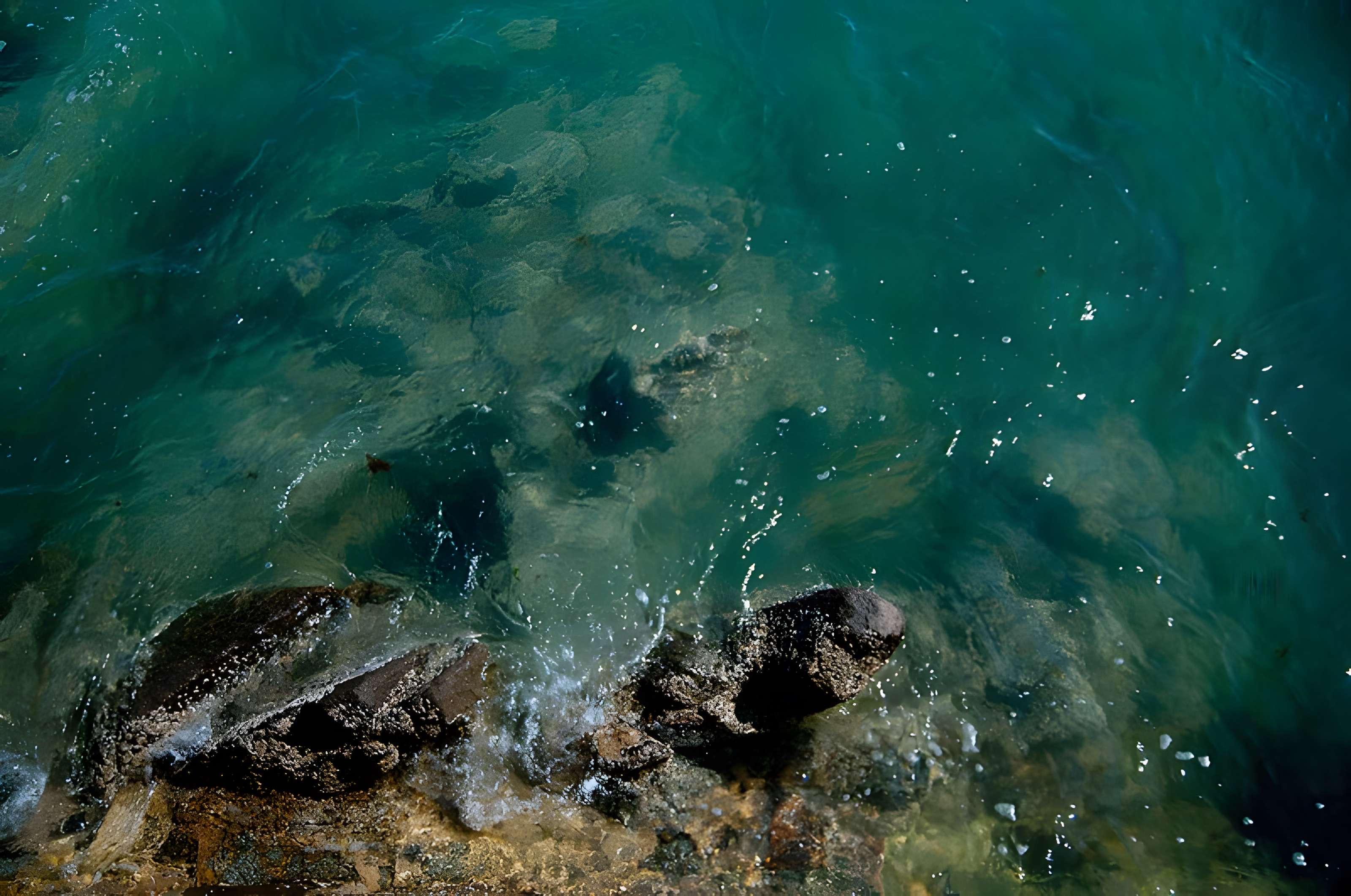 Musée Maritime de l'Ile Tatihou à Saint-Vaast-la-Hougue
