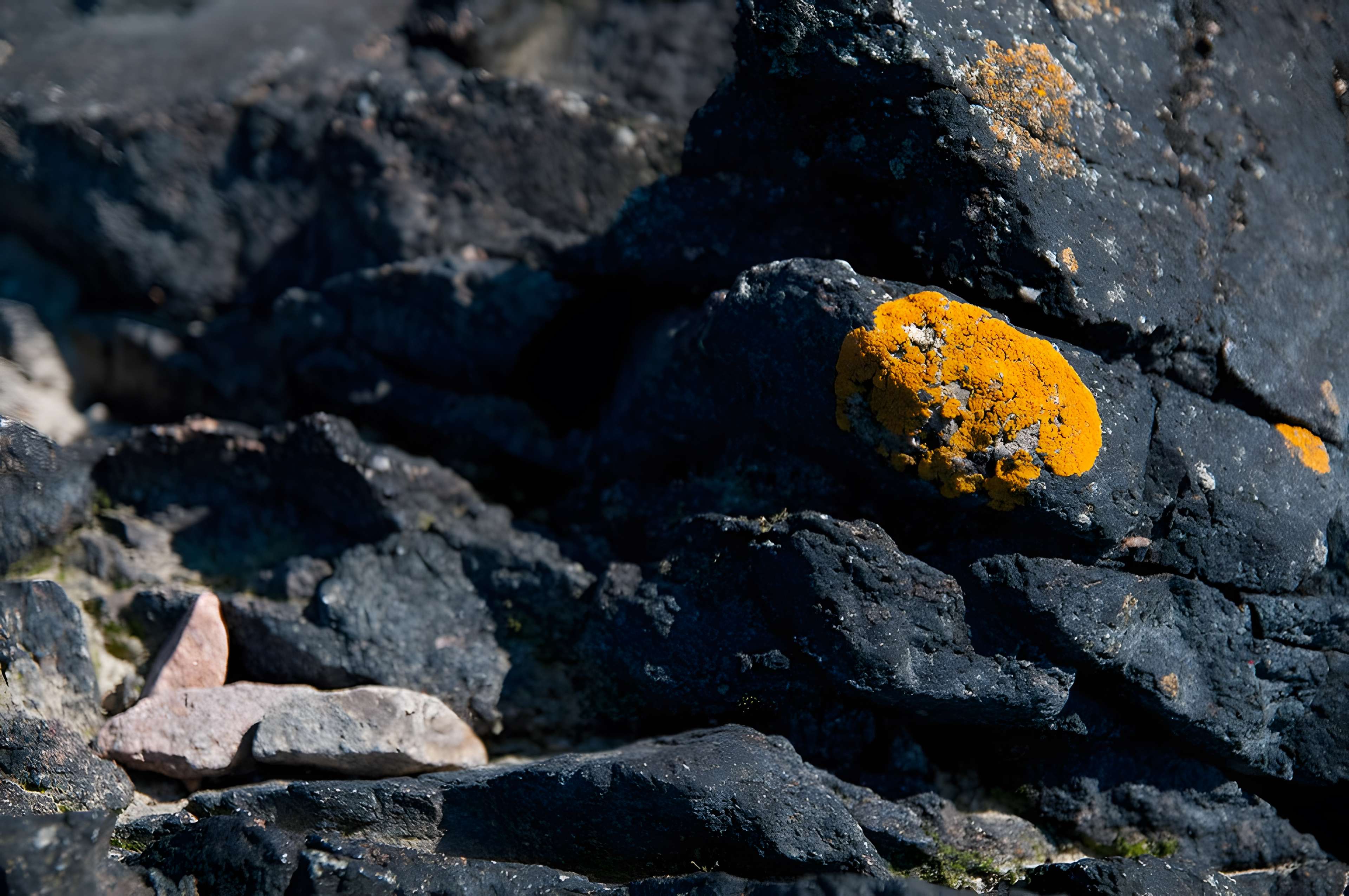 Musée Maritime de l'Ile Tatihou à Saint-Vaast-la-Hougue