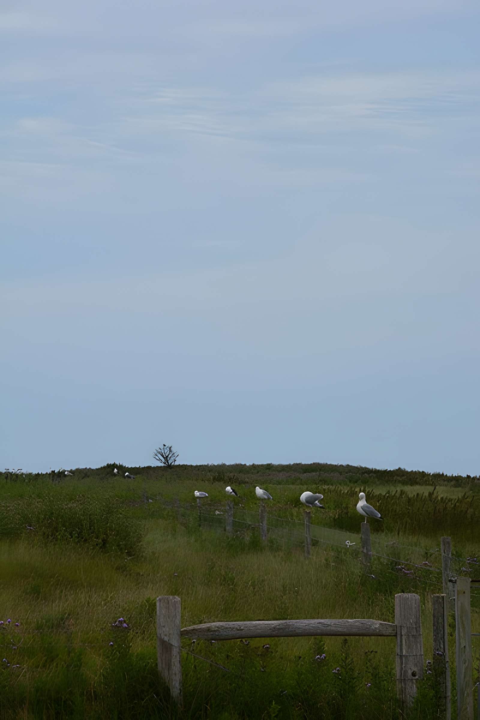 Musée Maritime de l'Ile Tatihou à Saint-Vaast-la-Hougue
