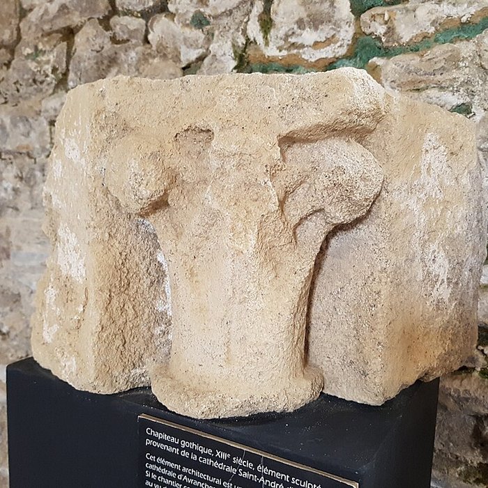 Photo de Musée Municipal dArt et dHistoire dAvranches