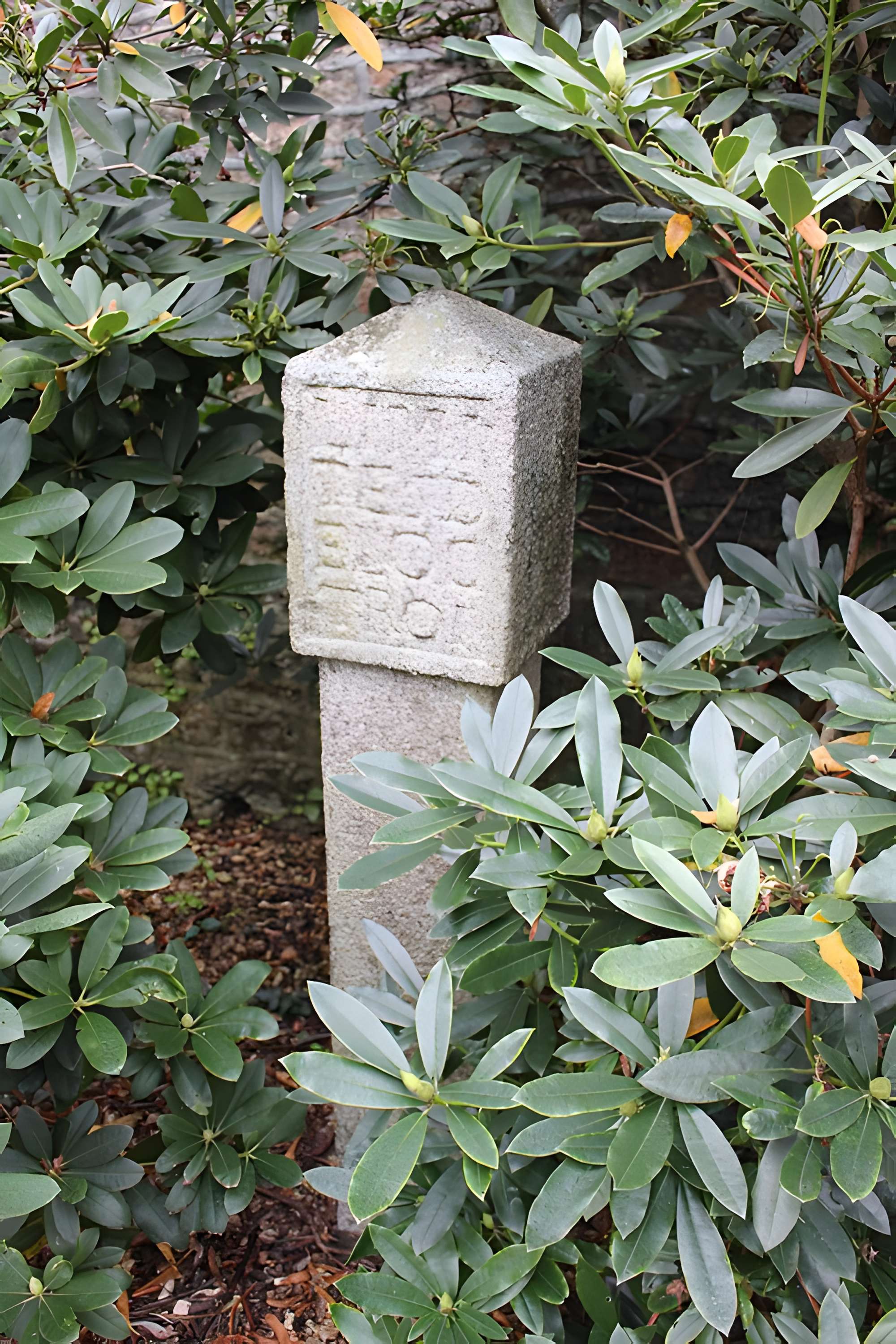 Musée Municipal d'Art et d'Histoire d'Avranches