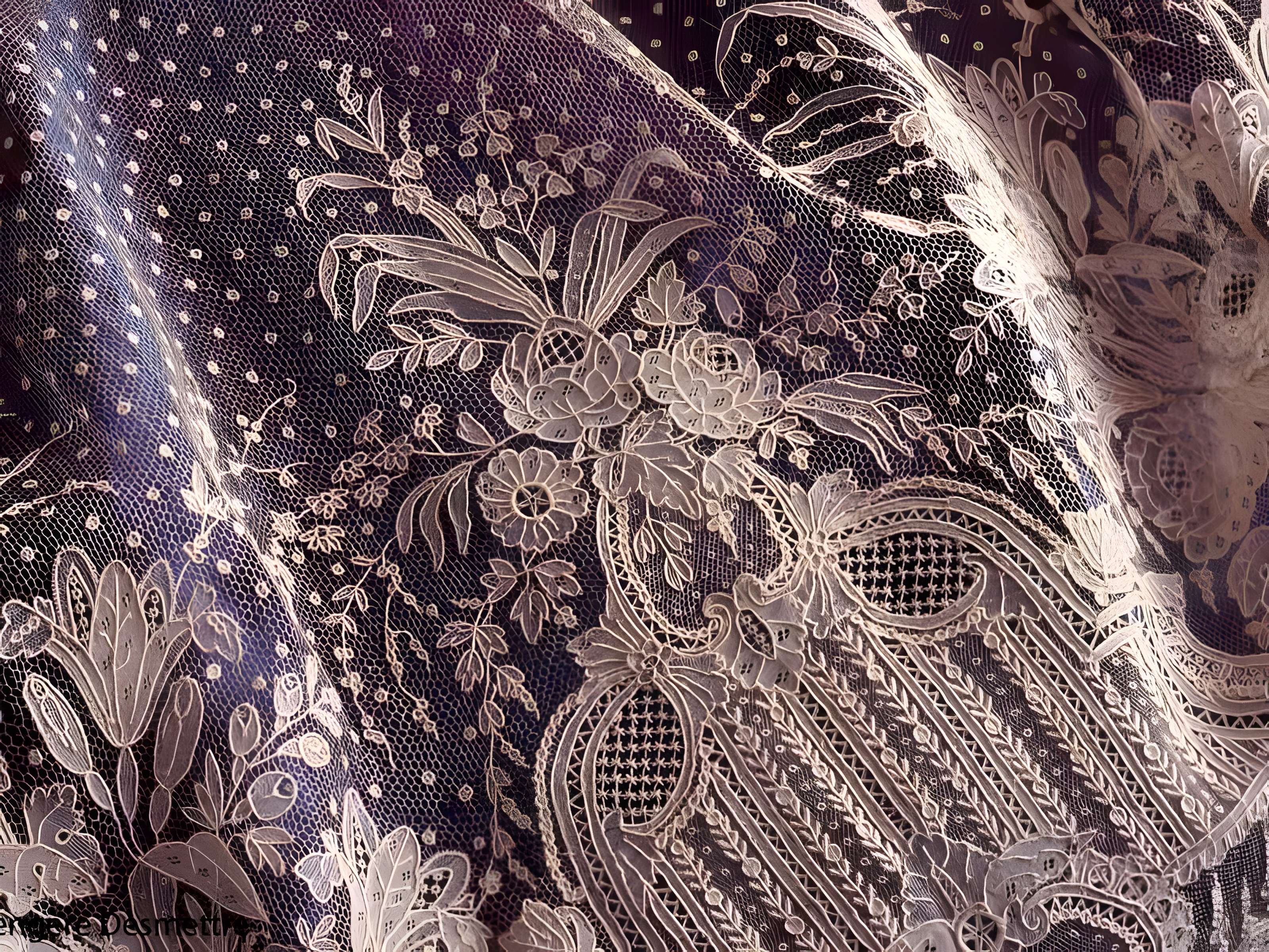 Musée des Beaux-Arts et de la Dentelle d'Alençon 