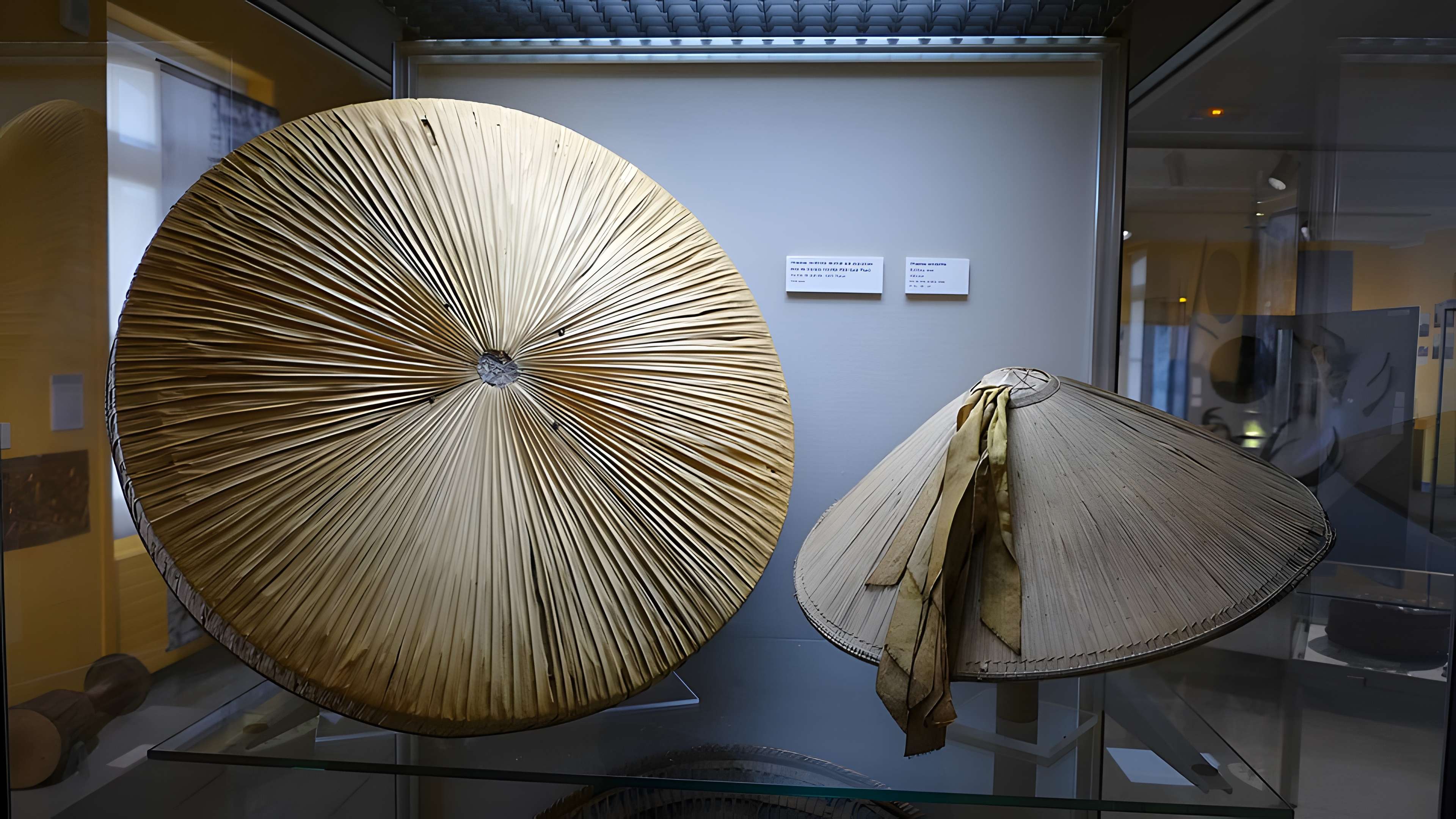 Musée des Beaux-Arts et de la Dentelle d'Alençon