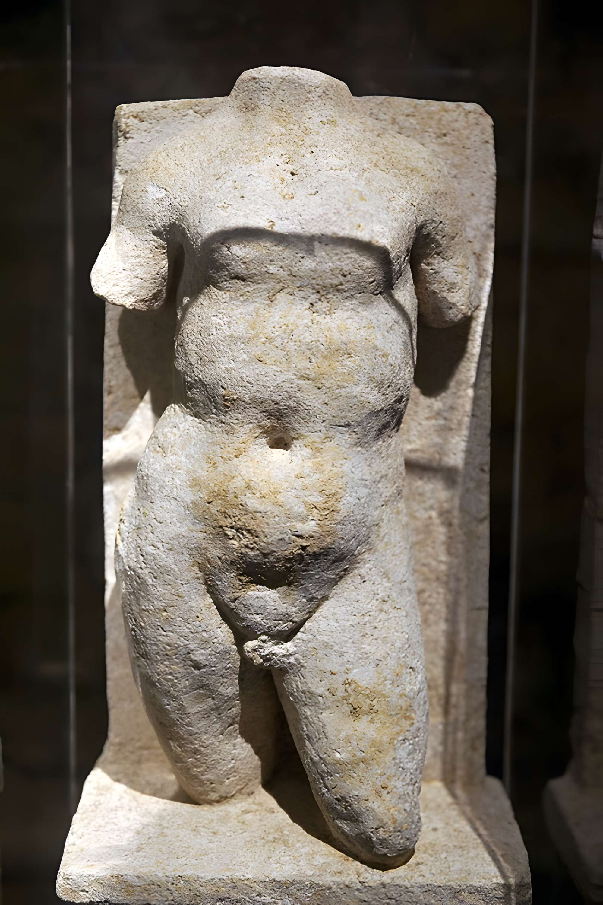 Musée archéologique de Dijon