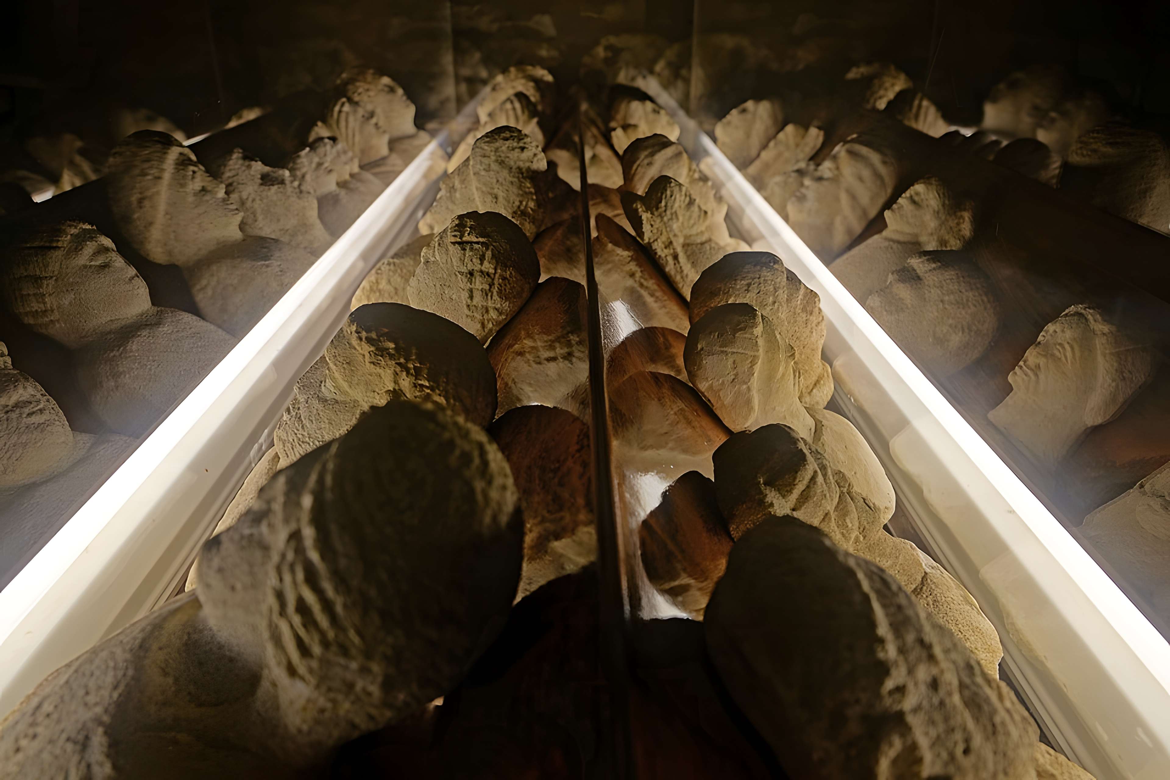 Musée archéologique de Dijon