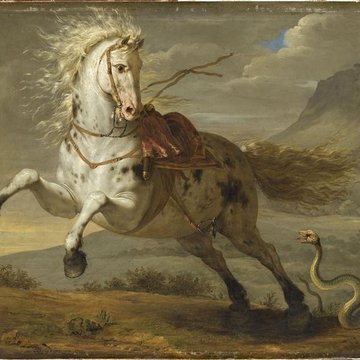 Musée national Magnin