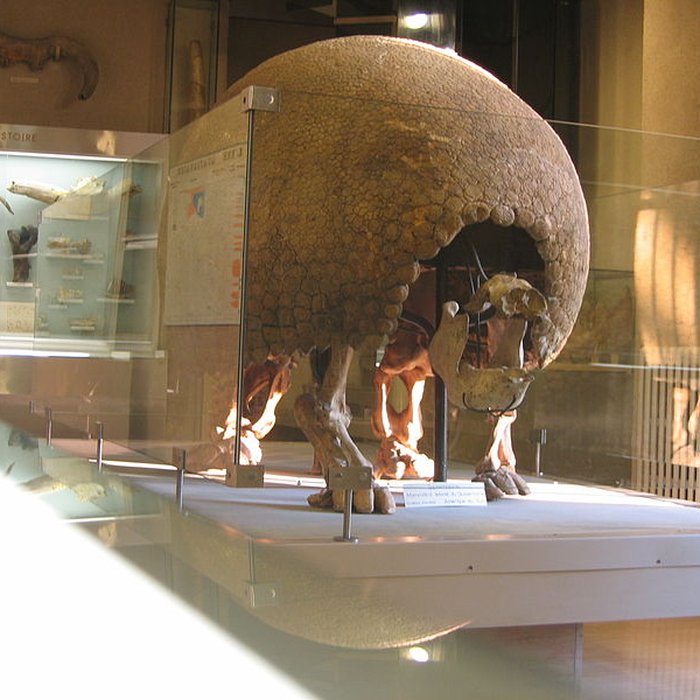 Photo de Muséum dhistoire naturelle de Dijon