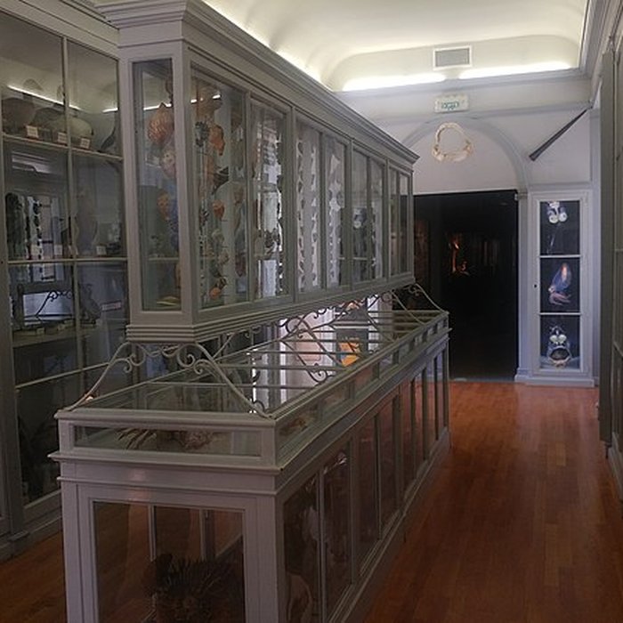 Photo de Muséum dhistoire naturelle de Dijon