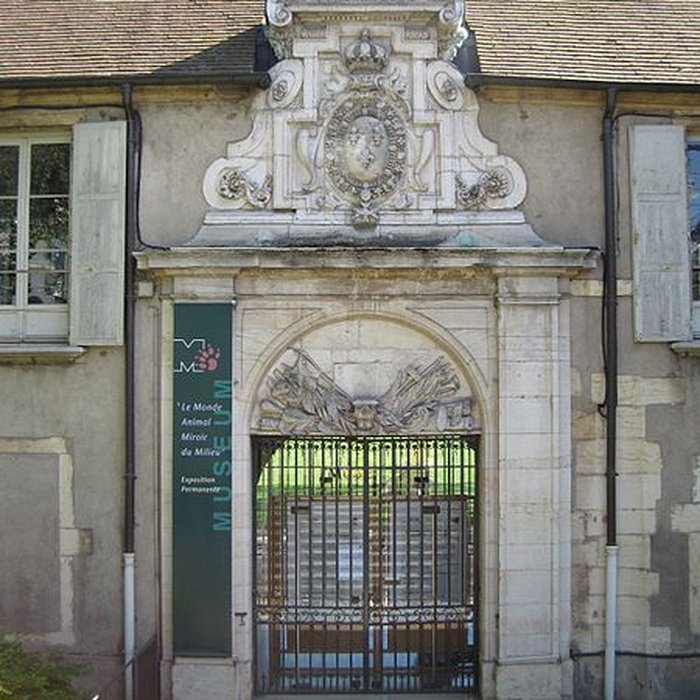 Photo de Muséum dhistoire naturelle de Dijon