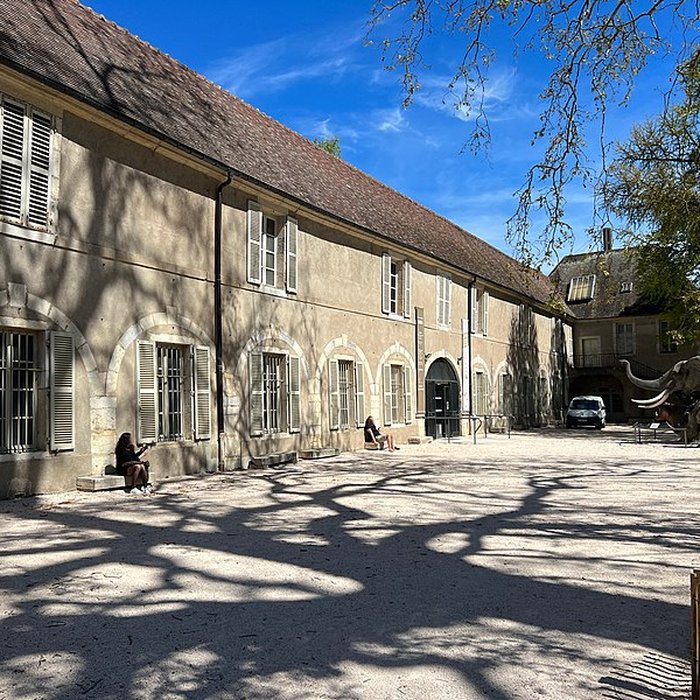 Photo de Muséum dhistoire naturelle de Dijon