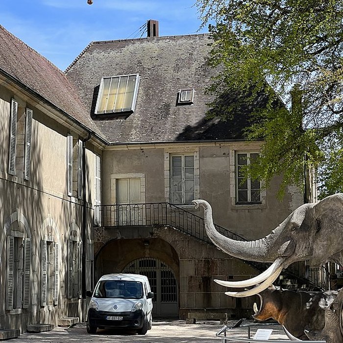 Photo de Muséum dhistoire naturelle de Dijon