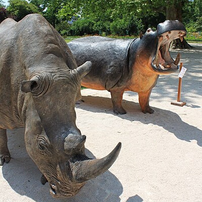 Photo de Muséum dhistoire naturelle de Dijon