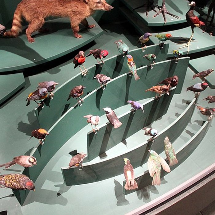 Photo de Muséum dhistoire naturelle de Dijon