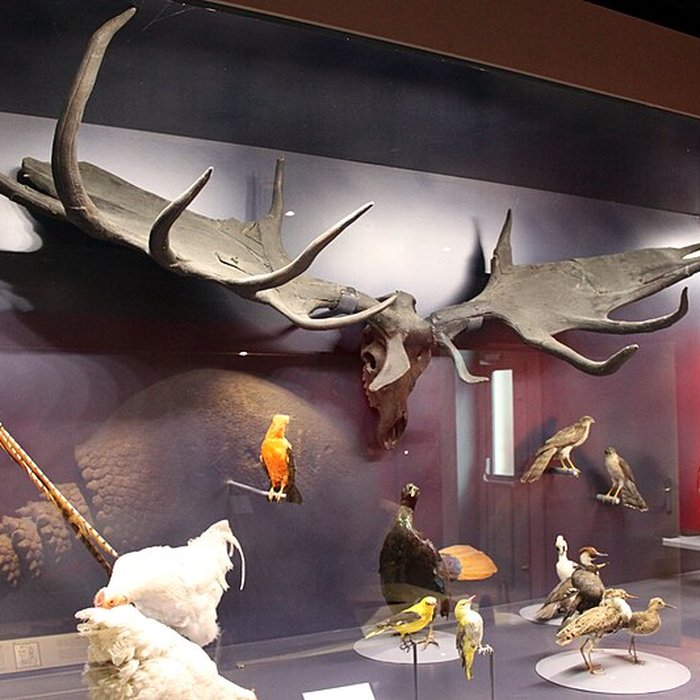 Photo de Muséum dhistoire naturelle de Dijon