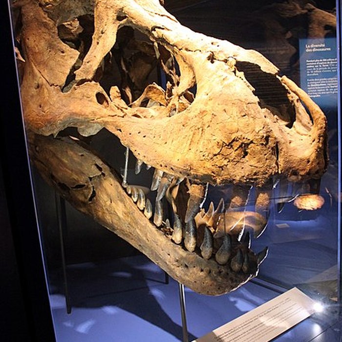 Photo de Muséum dhistoire naturelle de Dijon