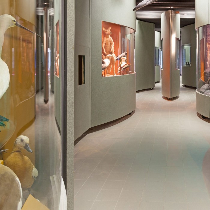 Photo de Muséum dhistoire naturelle de Dijon