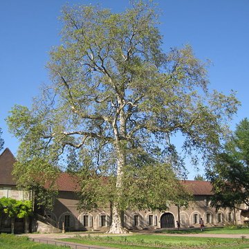 Muséum dhistoire naturelle de Dijon