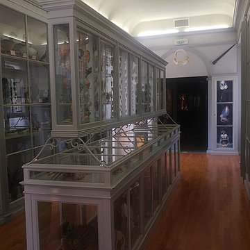 Muséum dhistoire naturelle de Dijon