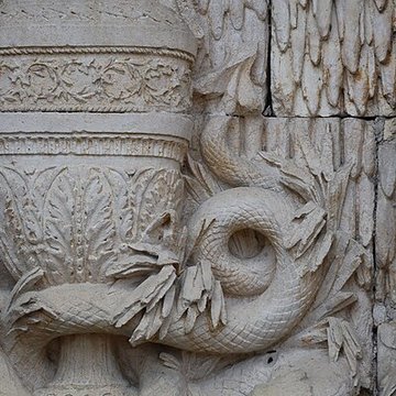 Muséum dhistoire naturelle de Dijon