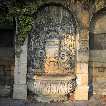 Muséum dhistoire naturelle de Dijon