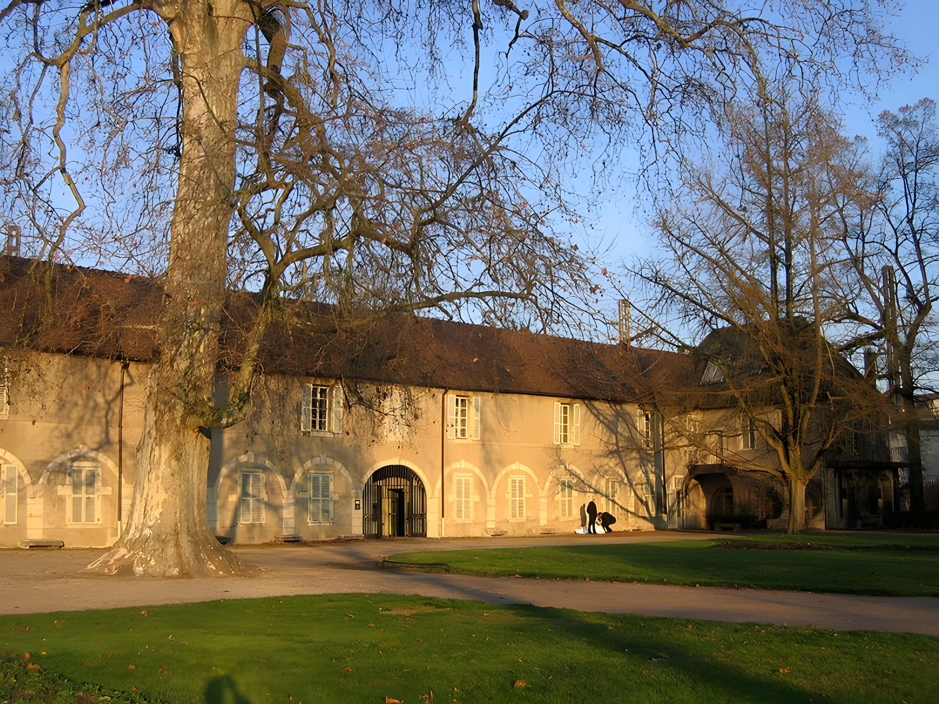 Muséum d'histoire naturelle de Dijon