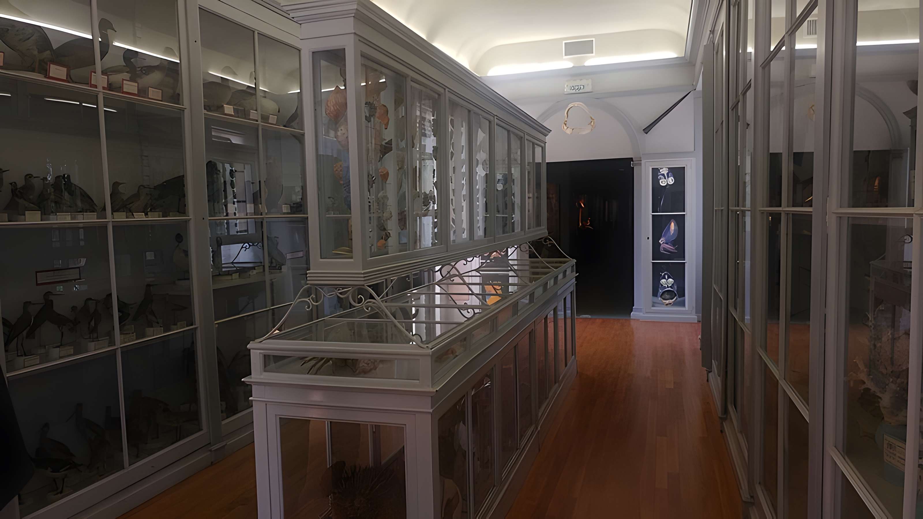 Muséum d'histoire naturelle de Dijon