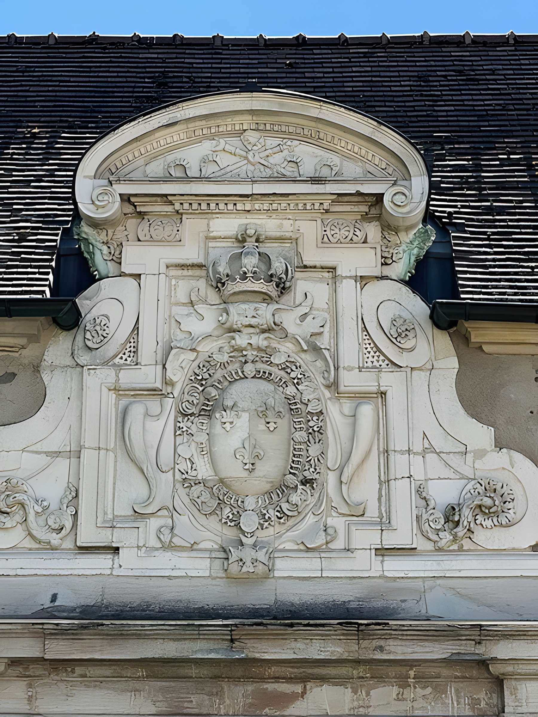 Muséum d'histoire naturelle de Dijon