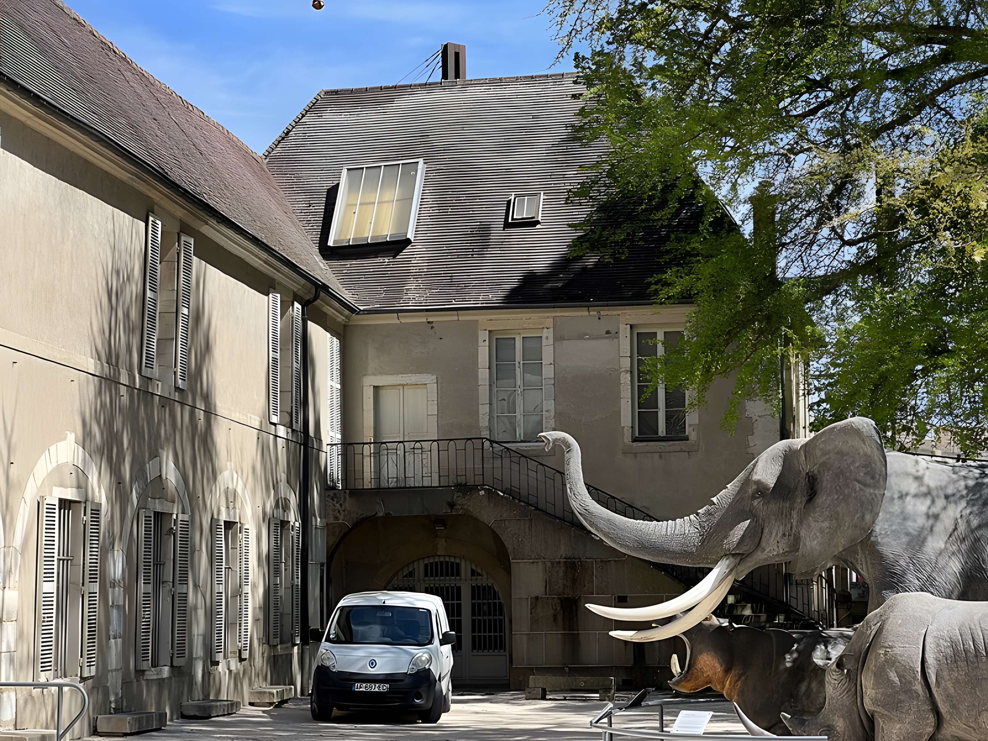 Muséum d'histoire naturelle de Dijon