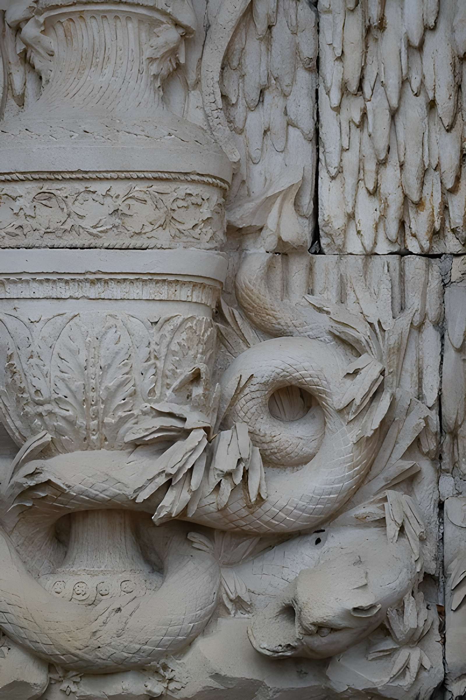 Muséum d'histoire naturelle de Dijon