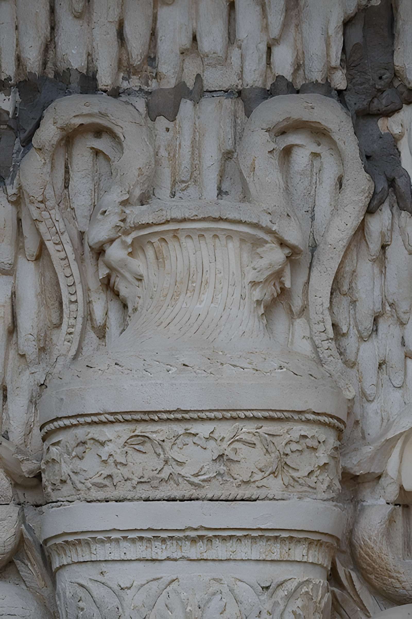 Muséum d'histoire naturelle de Dijon