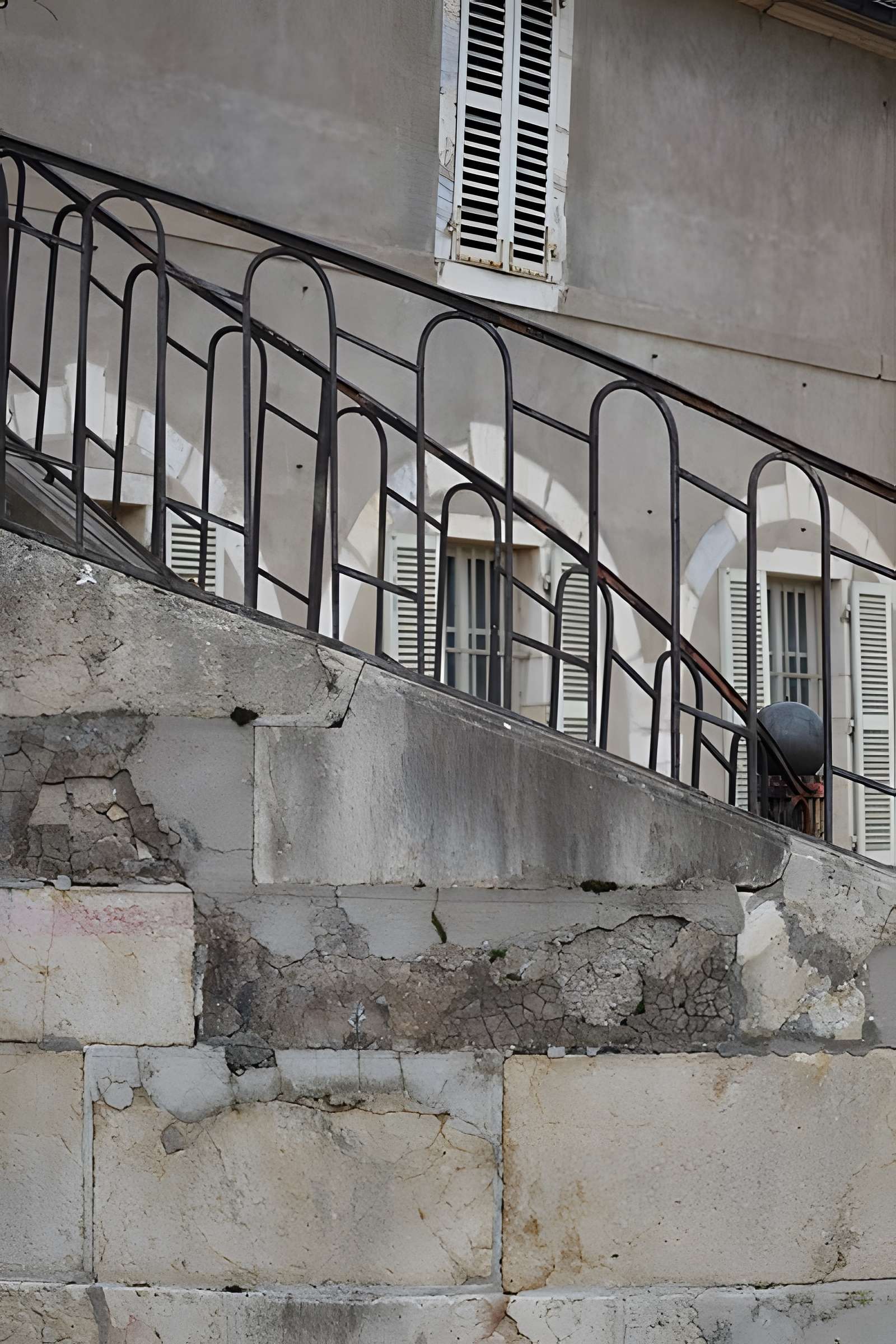 Muséum d'histoire naturelle de Dijon