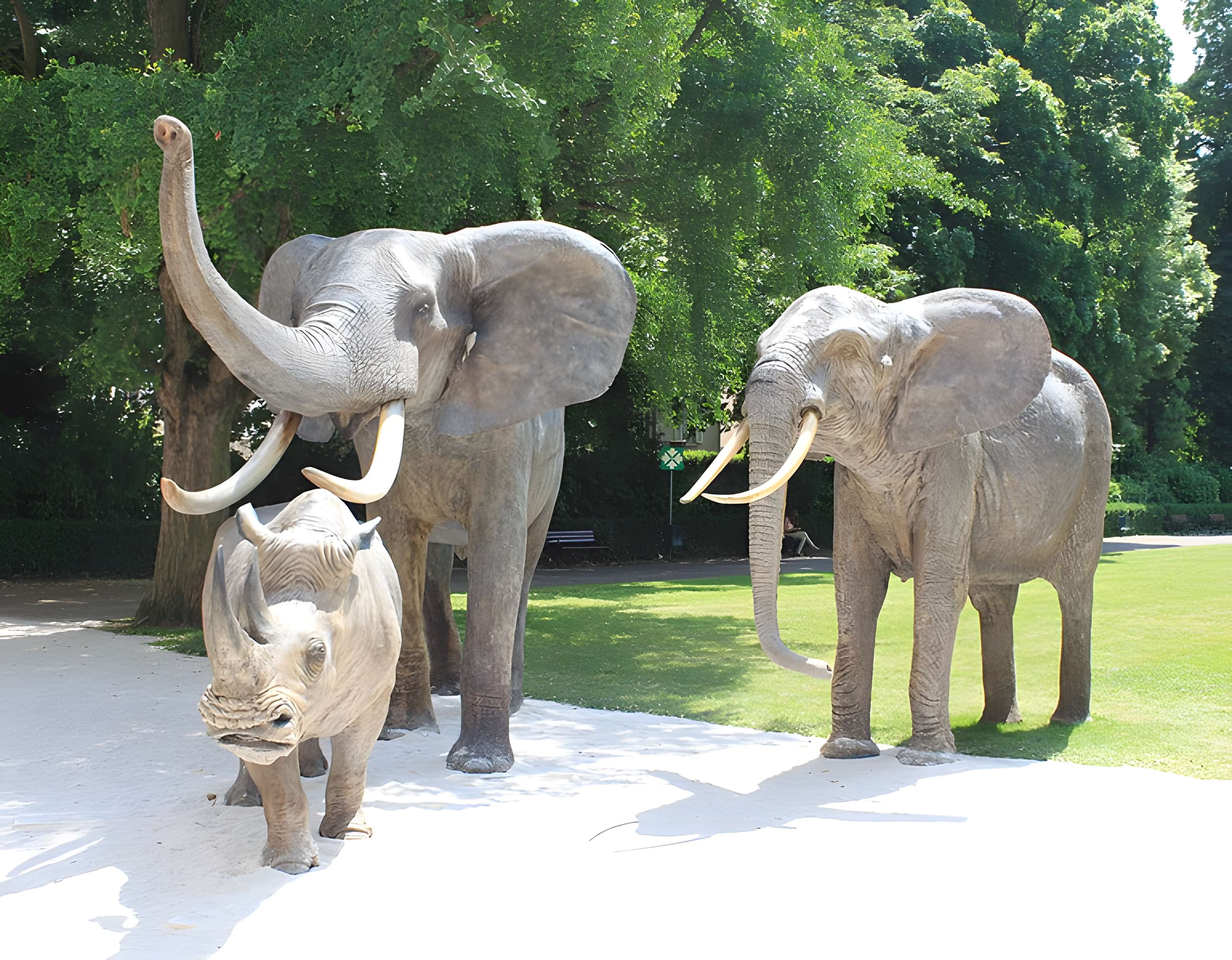 Muséum d'histoire naturelle de Dijon