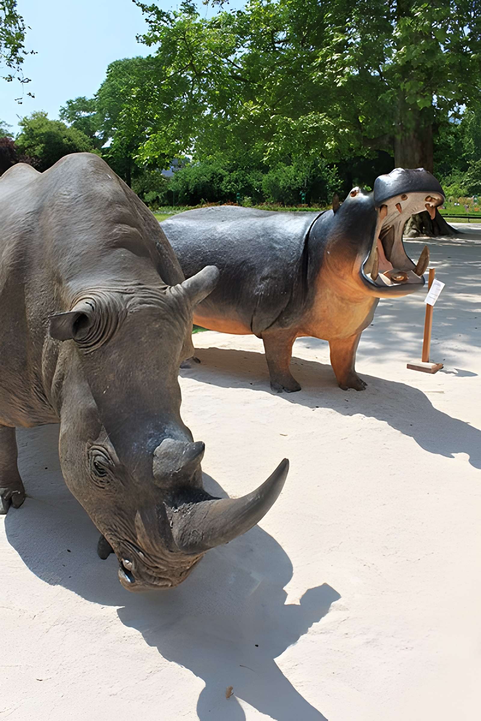 Muséum d'histoire naturelle de Dijon