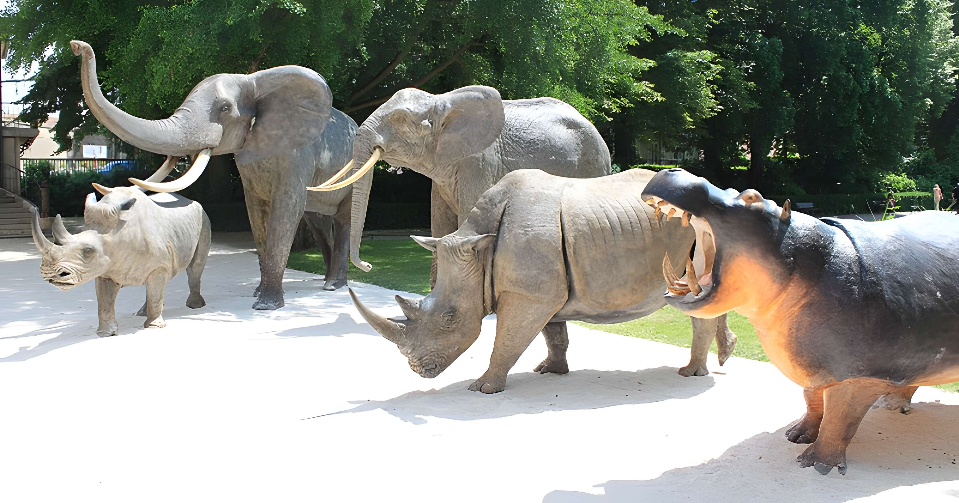 Muséum d'histoire naturelle de Dijon