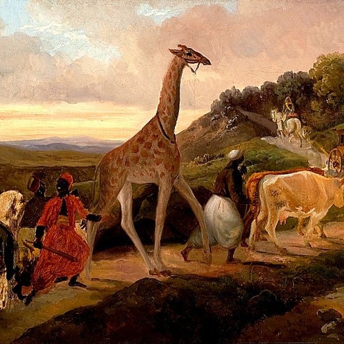 Photo de Musée des beaux-arts de Beaune