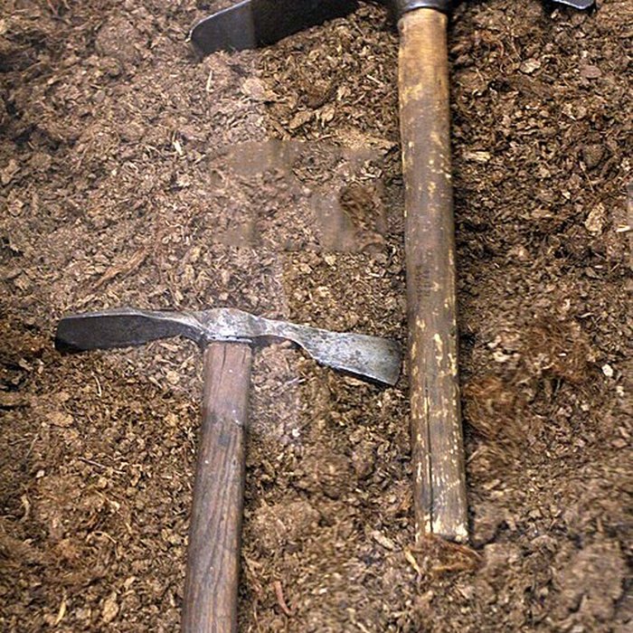 Photo de Musée du vin de Bourgogne à Beaune
