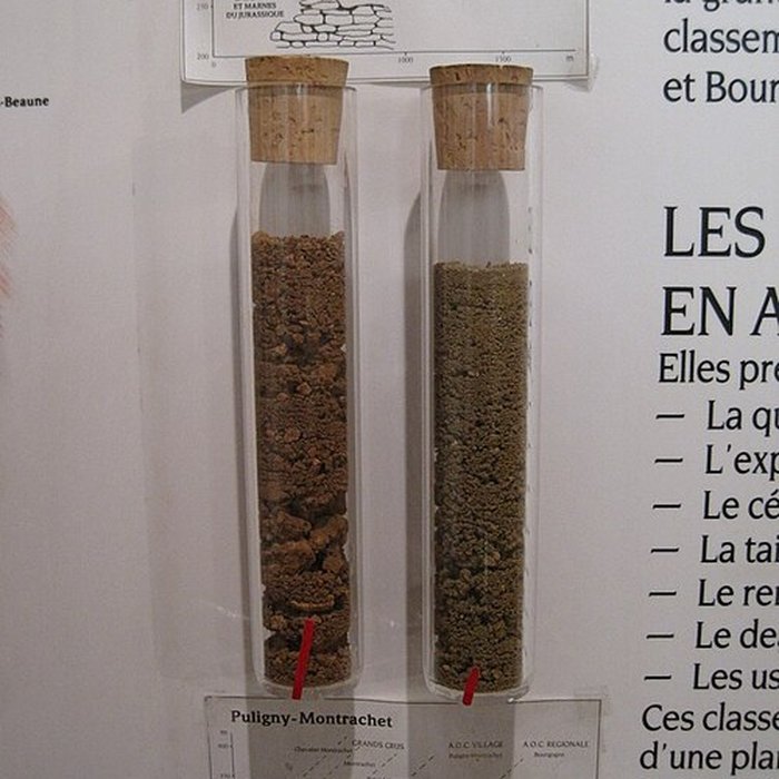Photo de Musée du vin de Bourgogne à Beaune