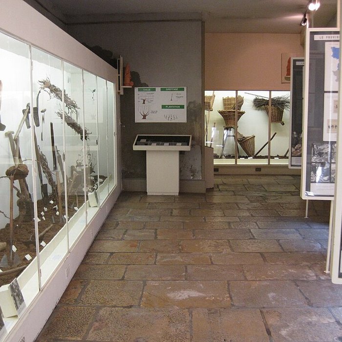 Photo de Musée du vin de Bourgogne à Beaune