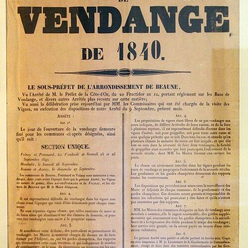 Musée du vin de Bourgogne à Beaune