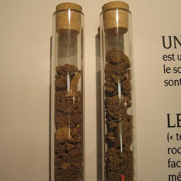 Musée du vin de Bourgogne à Beaune